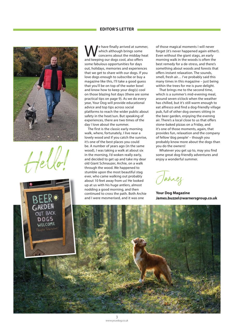 Your Dog Preview Pages