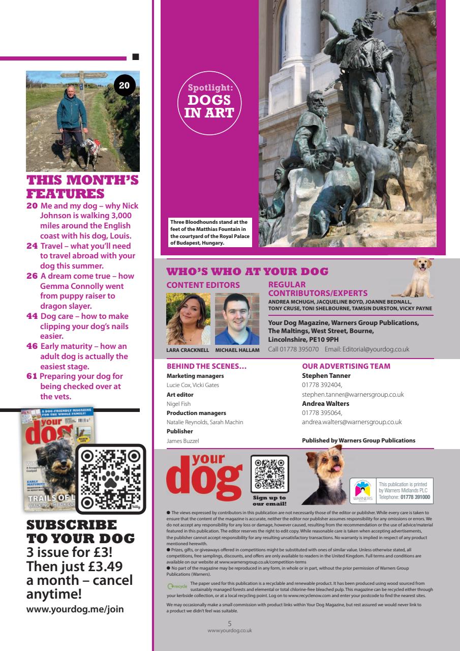 Your Dog Preview Pages