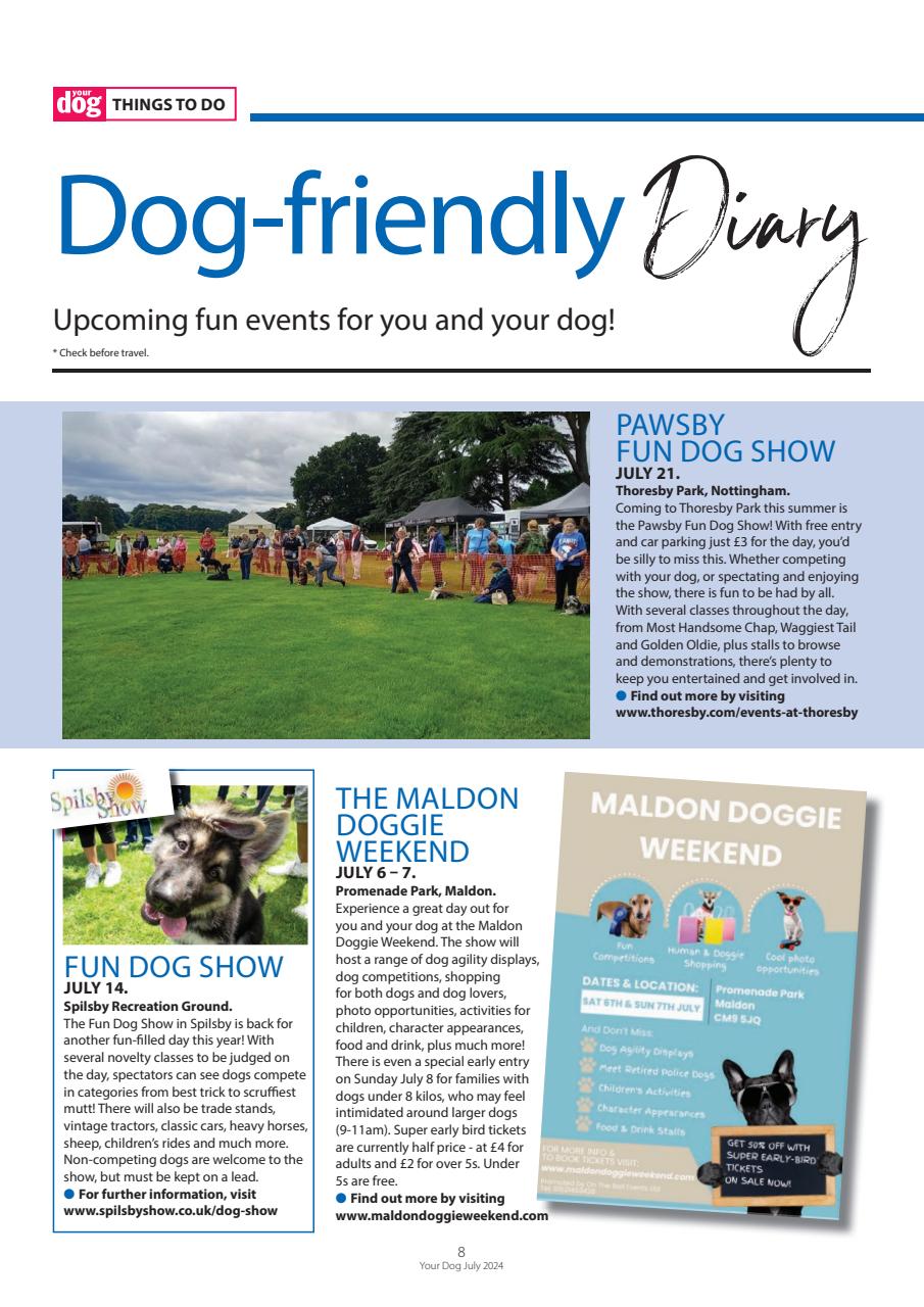 Your Dog Preview Pages