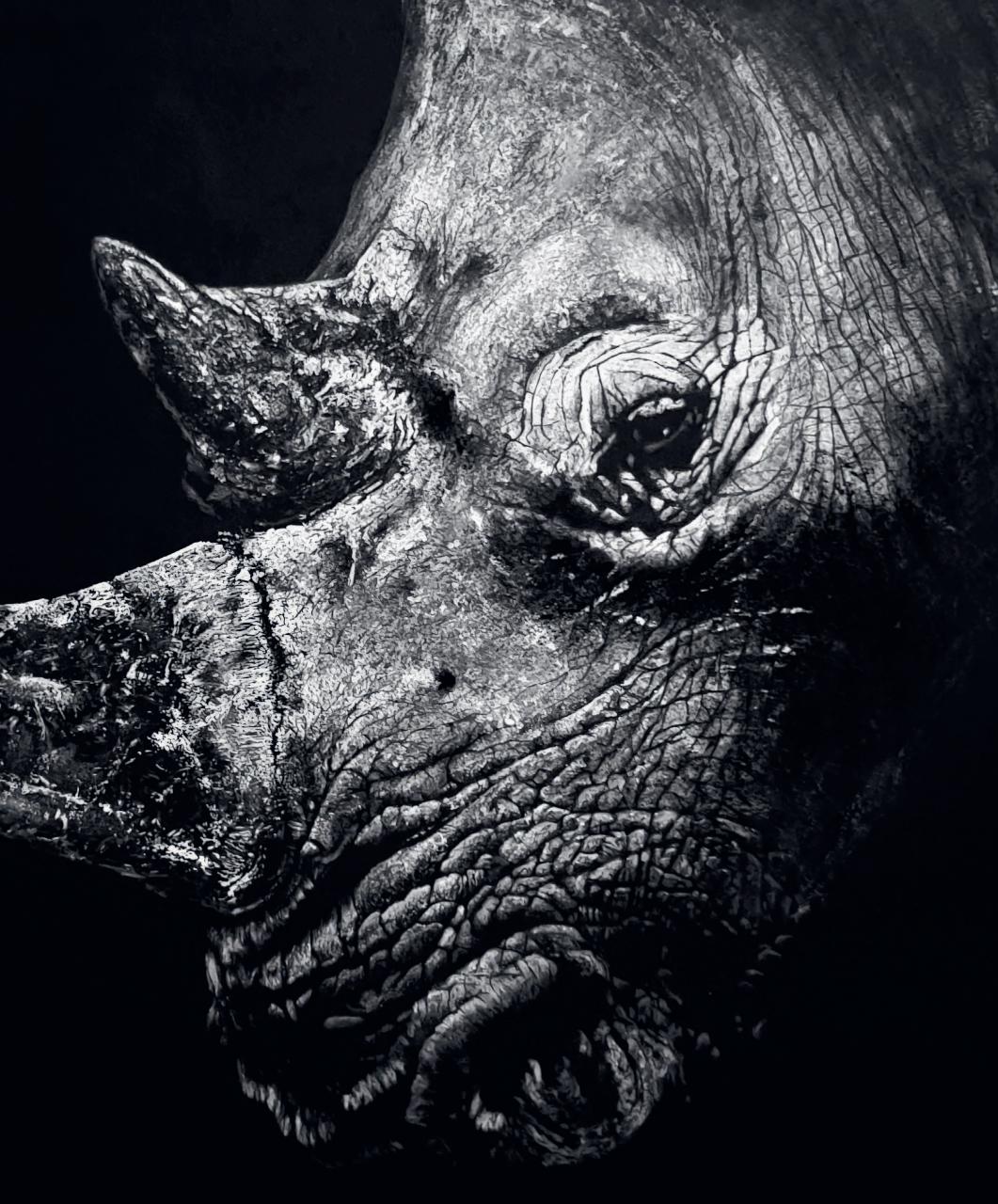 Fieldsports Journal Preview Pages