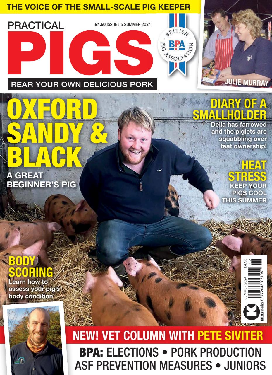 Practical Pigs Preview Pages