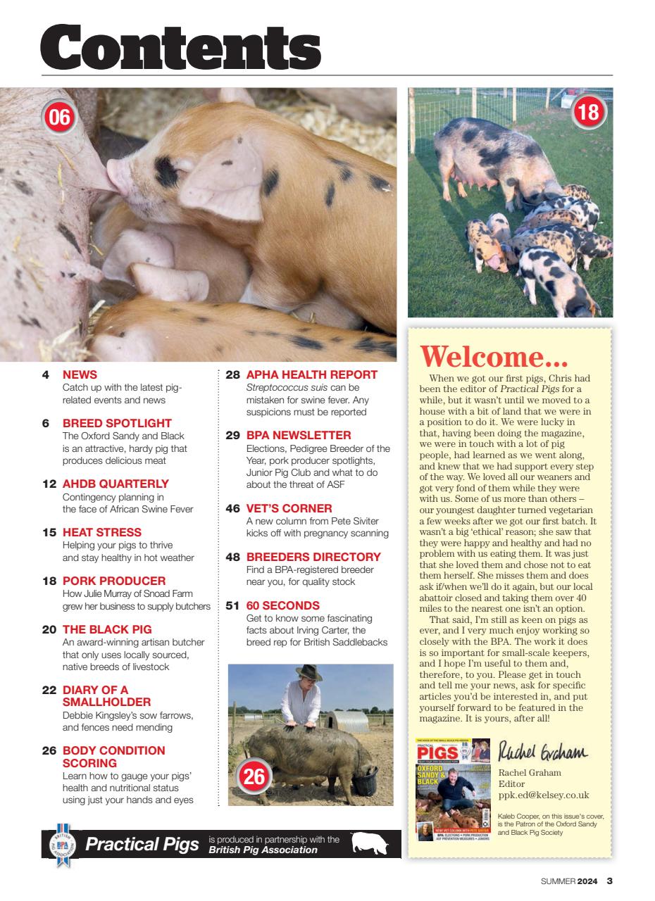 Practical Pigs Preview Pages