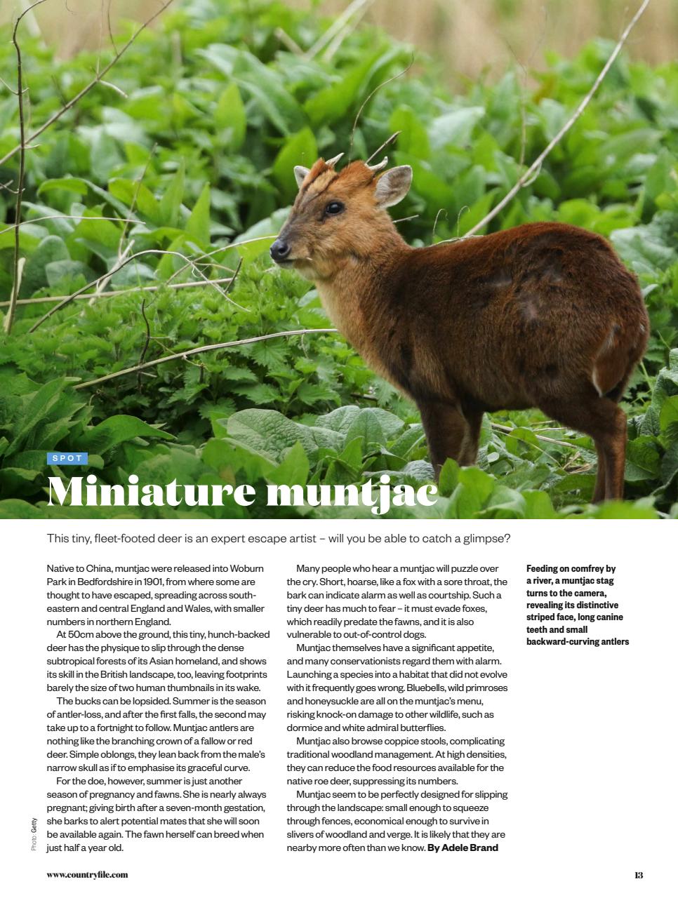 BBC Countryfile Magazine Preview Pages