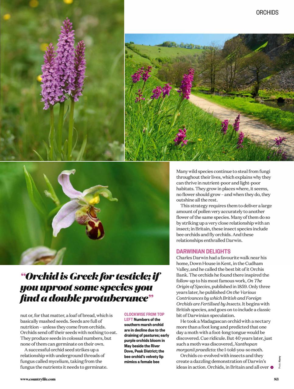 BBC Countryfile Magazine Preview Pages