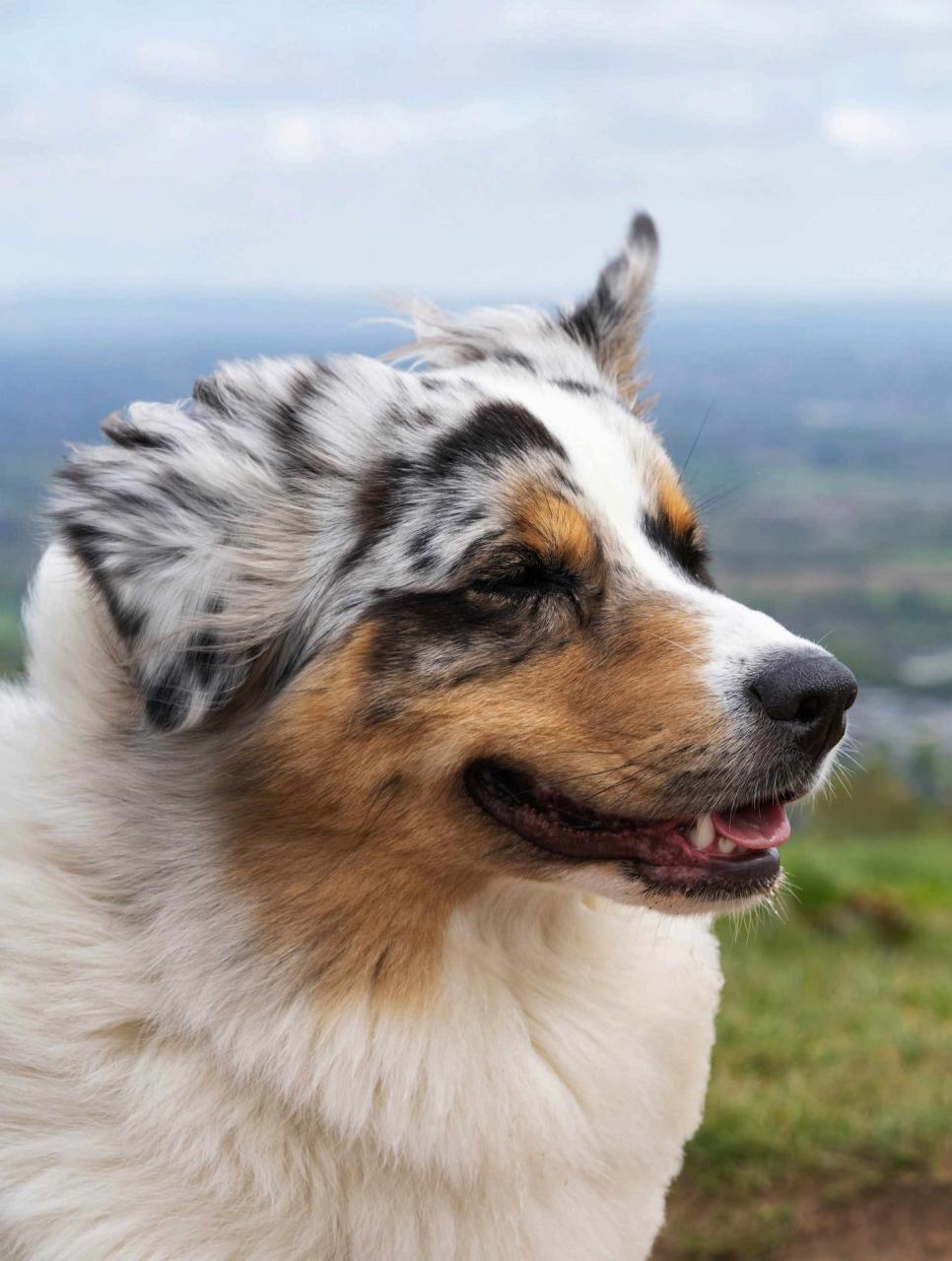 BBC Countryfile Magazine Preview Pages