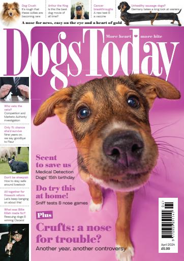 Dogs Today Magazine issue 