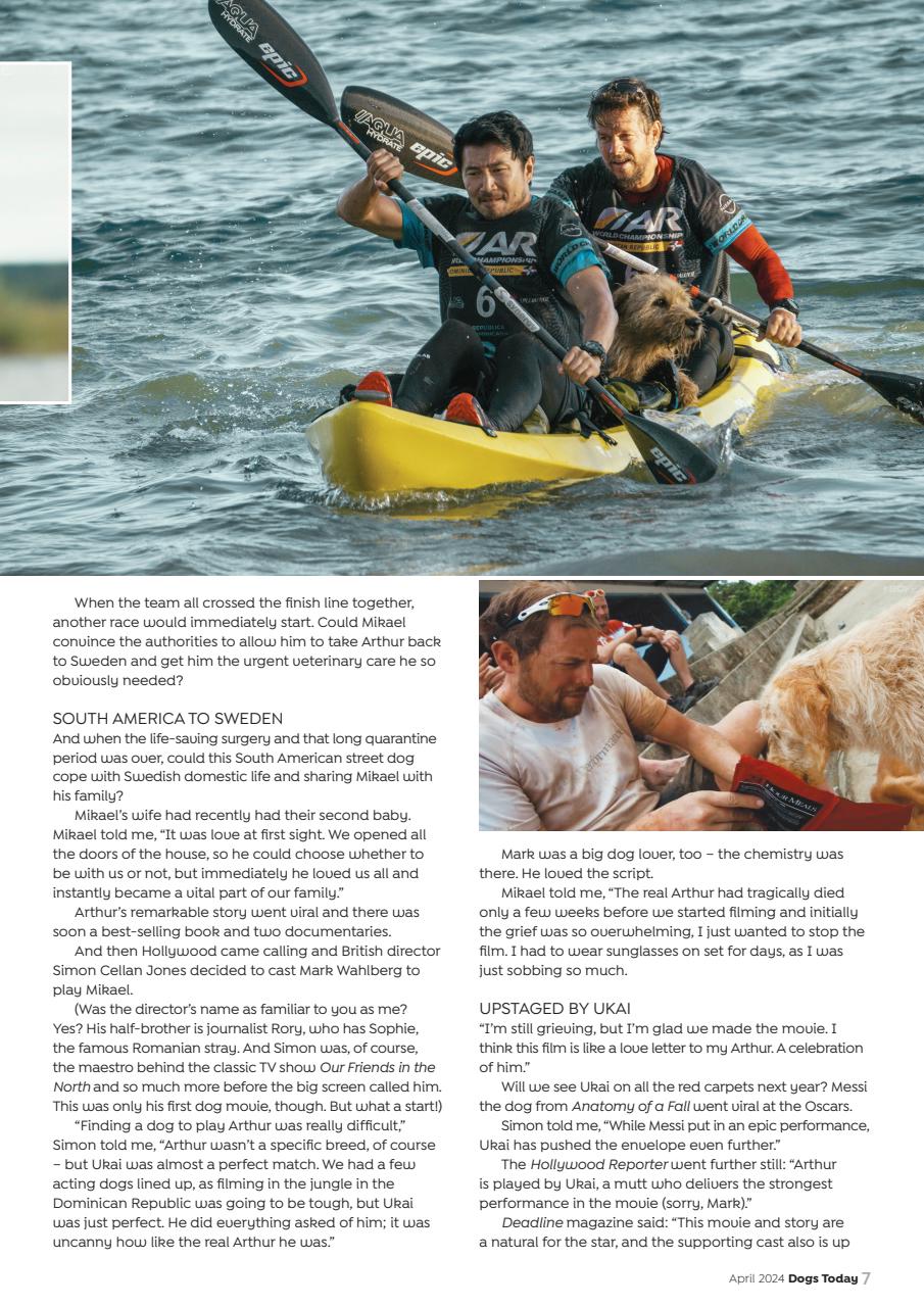 Dogs Today Magazine Preview Pages
