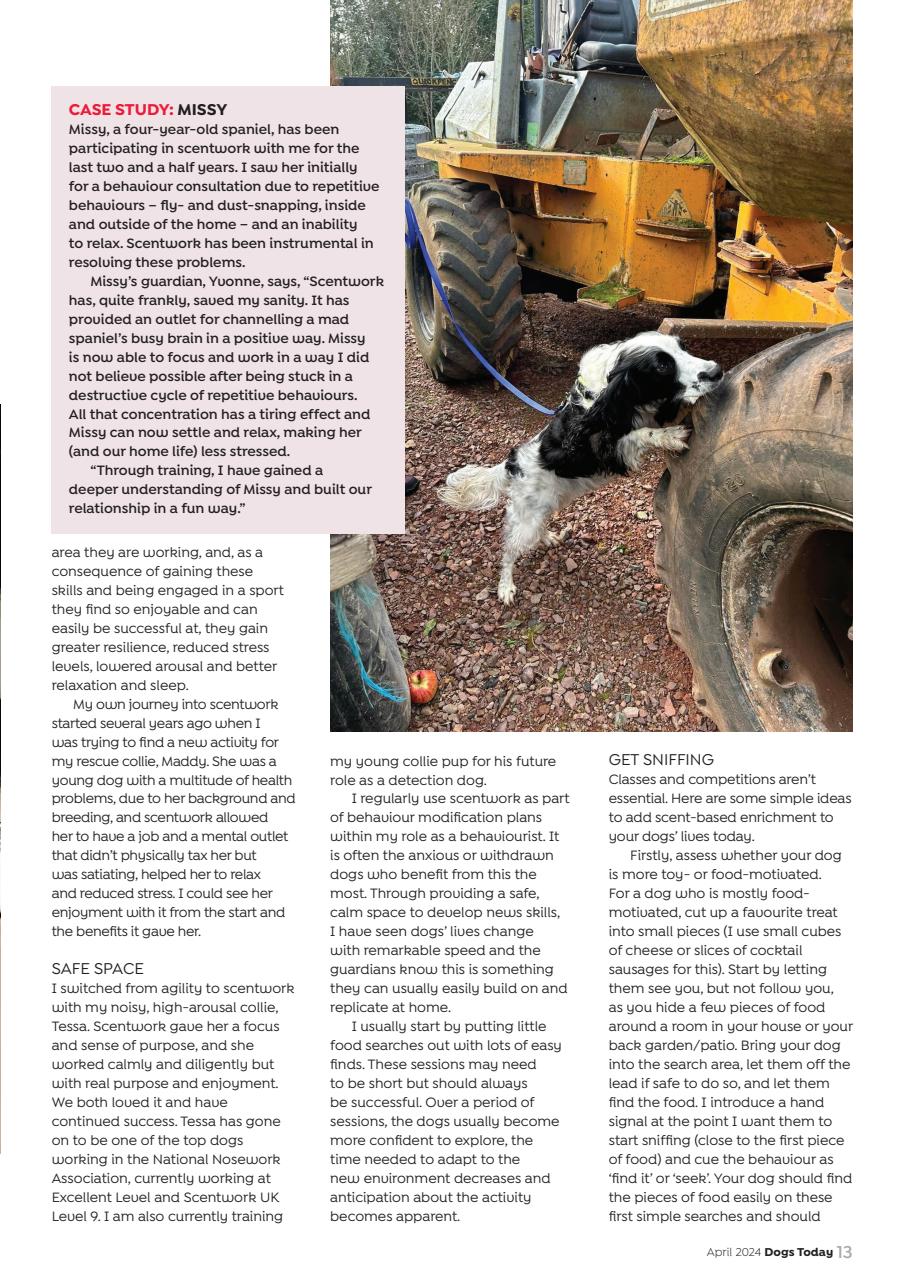 Dogs Today Magazine Preview Pages