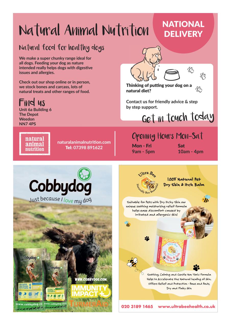 Dogs Today Magazine Preview Pages