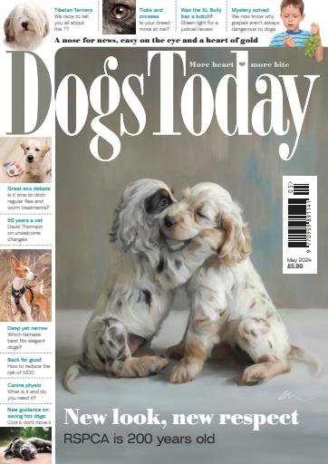 Dogs Today Magazine issue 