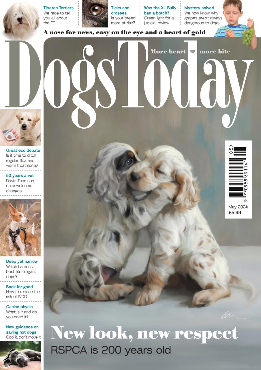 Dogs Today Magazine Preview Pages