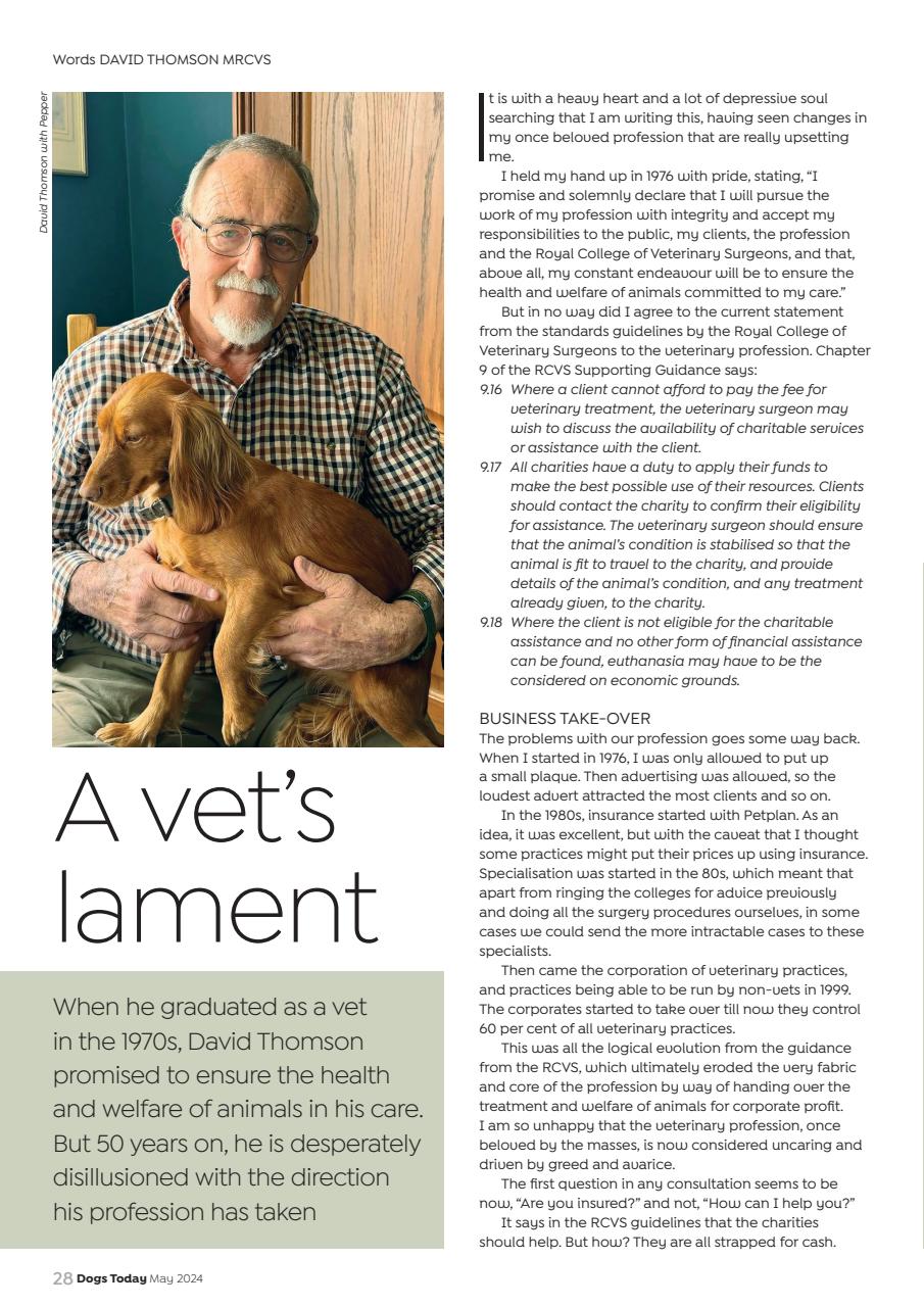 Dogs Today Magazine Preview Pages