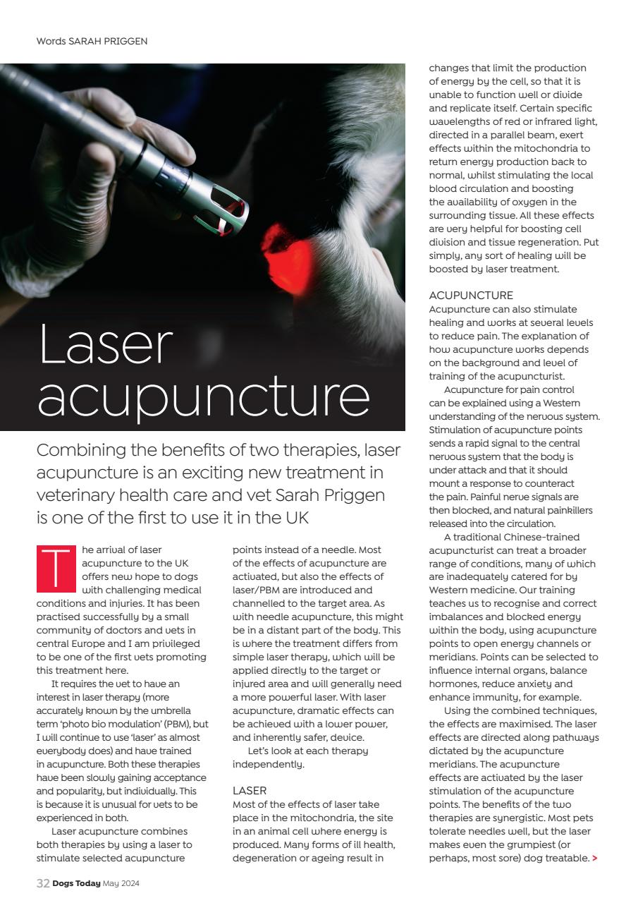 Dogs Today Magazine Preview Pages