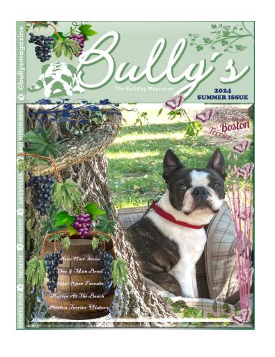 Bully’s - The Bulldog Magazine issue 