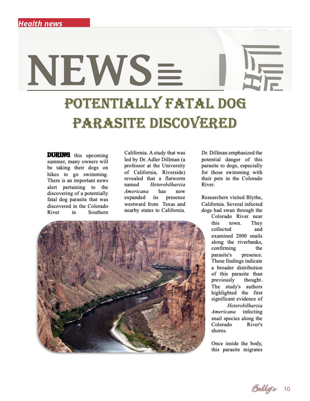 Bully’s - The Bulldog Magazine Preview Pages