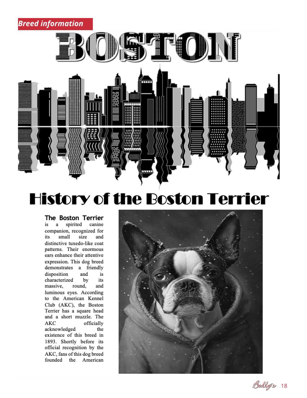 Bully’s - The Bulldog Magazine Preview Pages