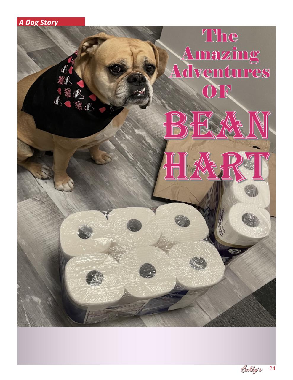 Bully’s - The Bulldog Magazine Preview Pages