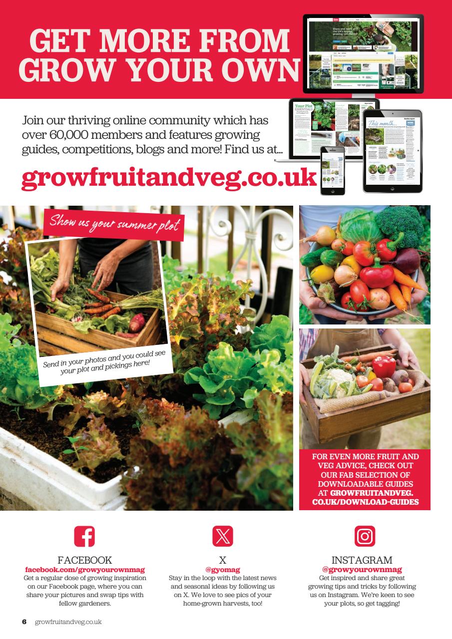 Grow Your Own Preview Pages