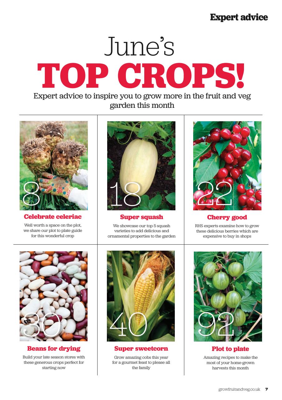 Grow Your Own Preview Pages