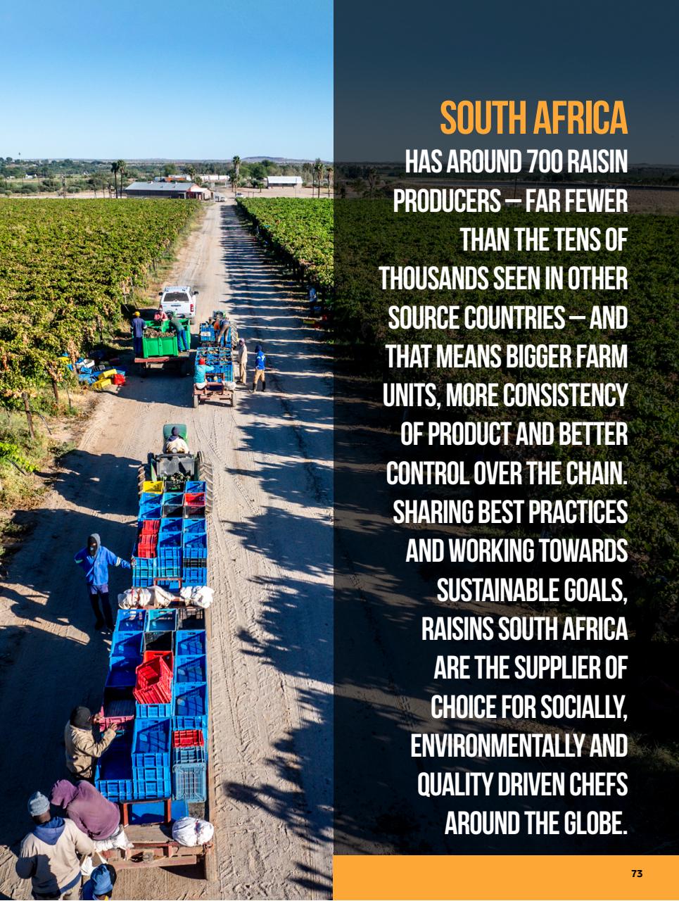 Chef & Restaurant Magazine Preview Pages