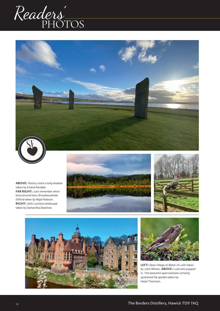 Scottish Field Preview Pages