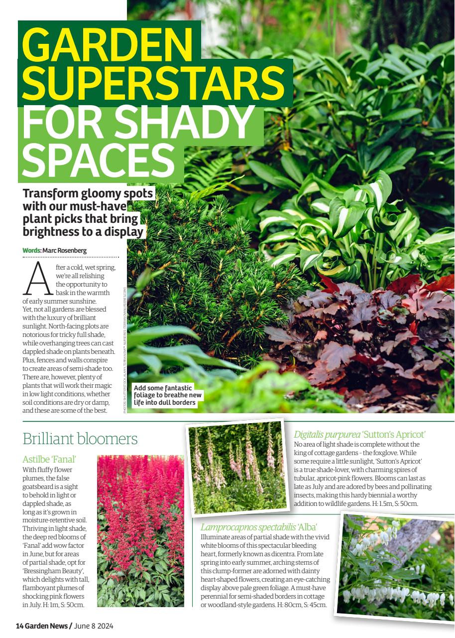 Garden News Preview Pages
