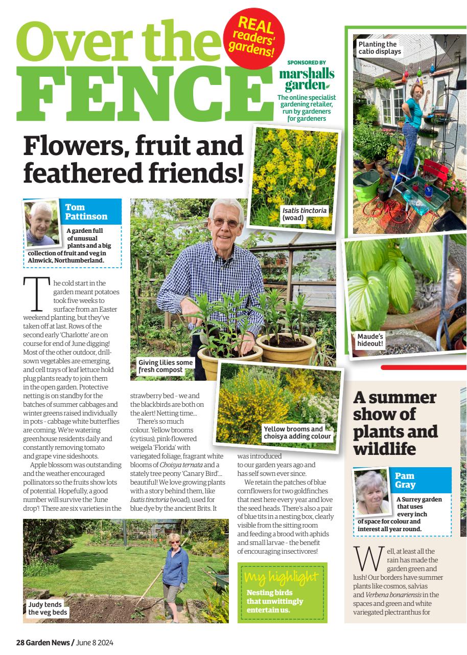 Garden News Preview Pages