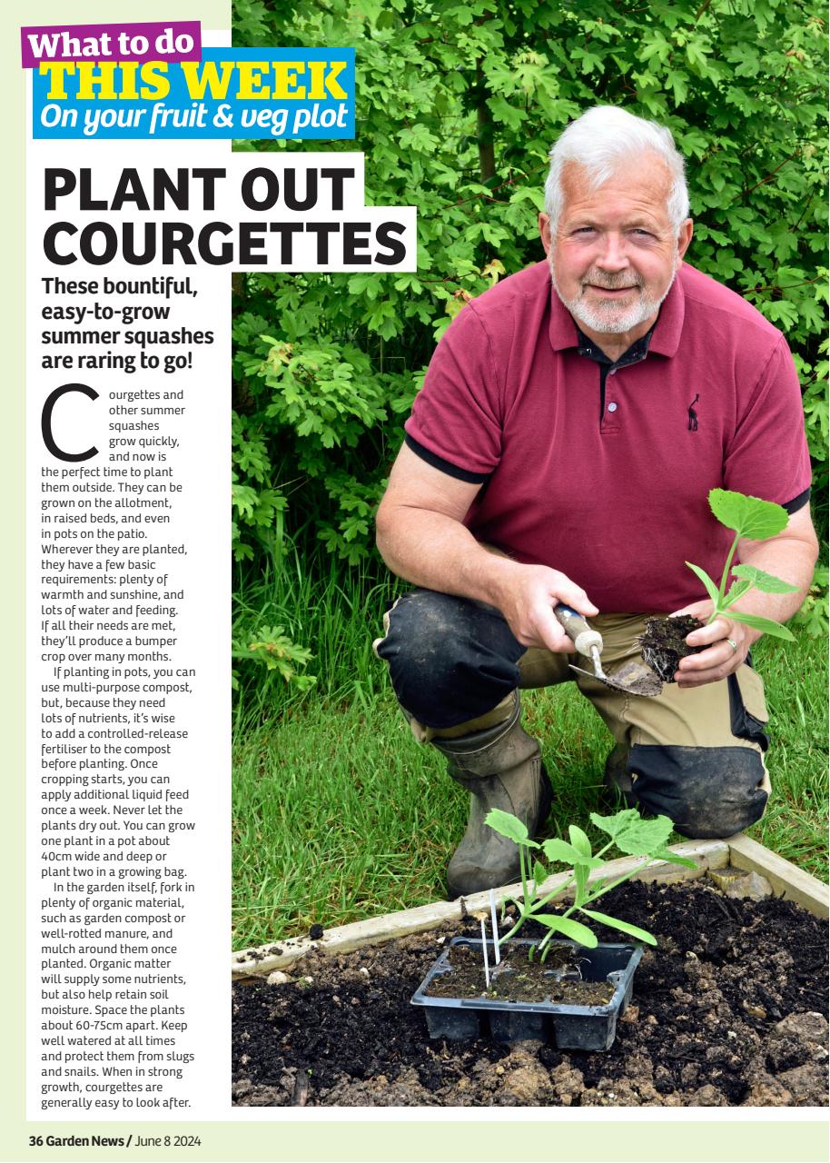 Garden News Magazine 08Jun2024 Back Issue