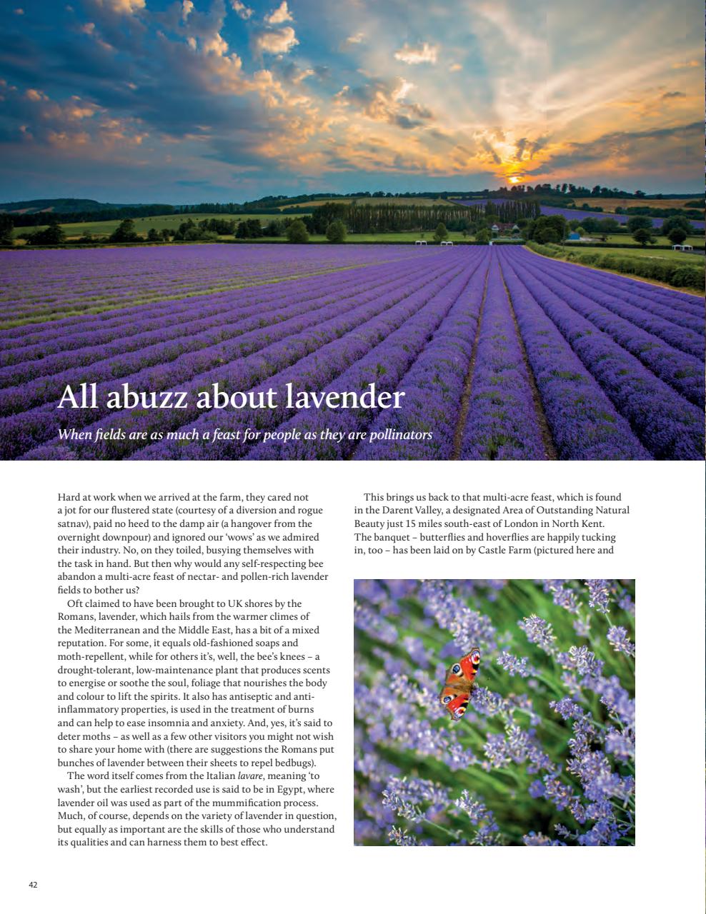 Breathe Preview Pages