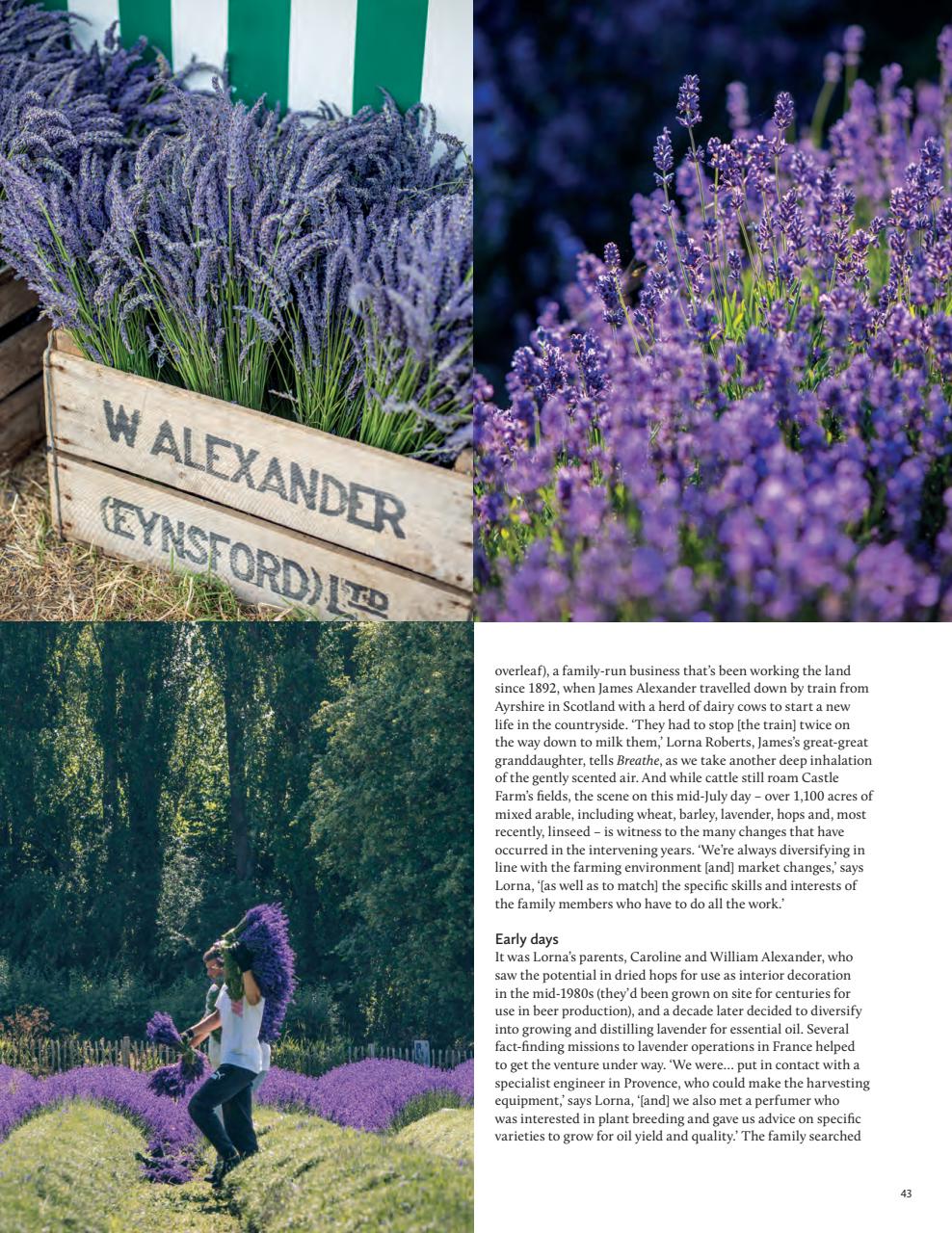 Breathe Preview Pages