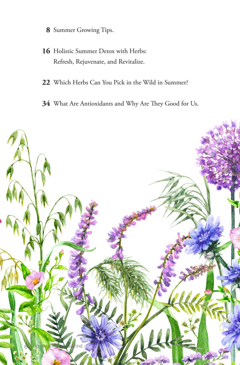 My Herbs Magazine Preview Pages