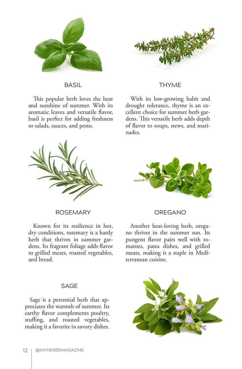 My Herbs Magazine Preview Pages
