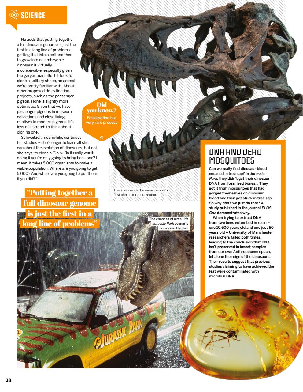 How It Works Preview Pages