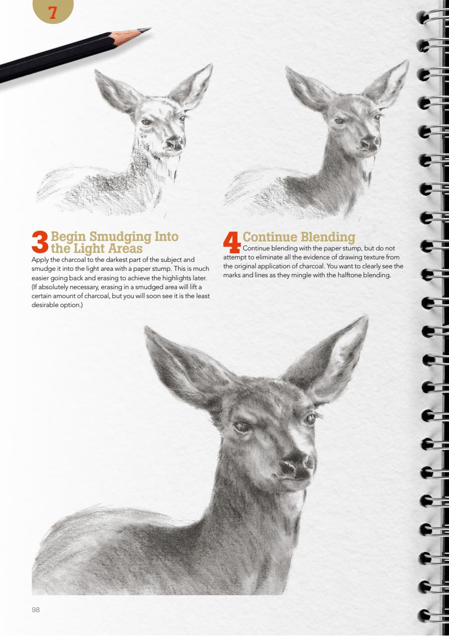 Creative Bookazine Preview Pages