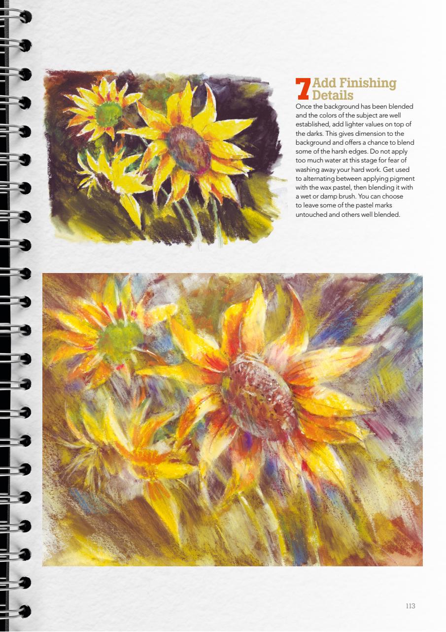 Creative Bookazine Preview Pages
