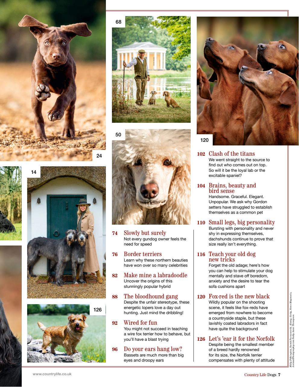 Country Life Bookazine Preview Pages