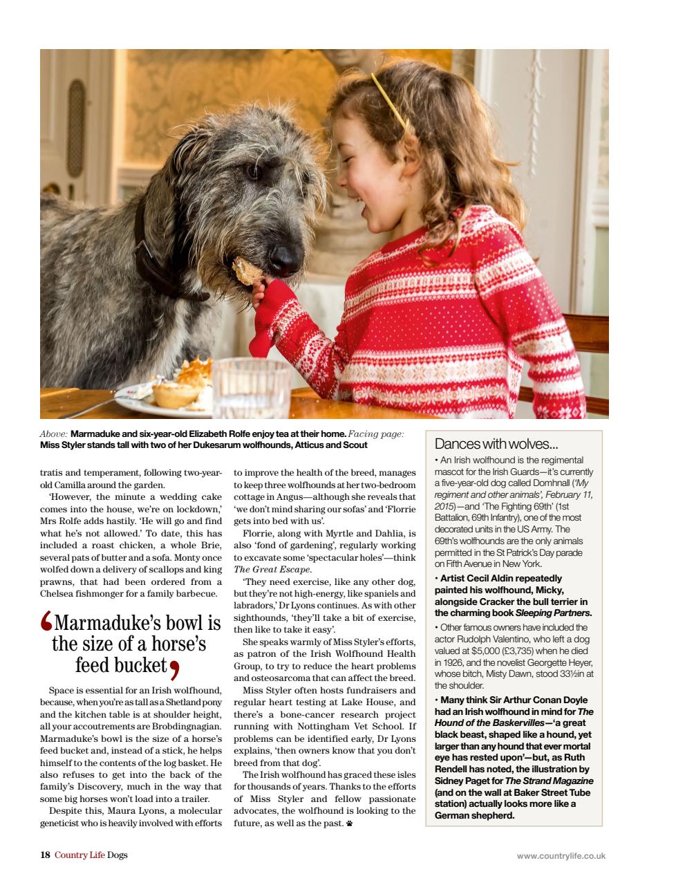 Country Life Bookazine Preview Pages