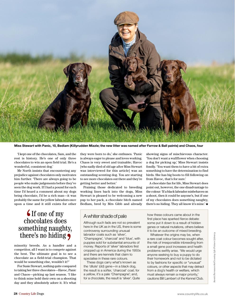 Country Life Bookazine Preview Pages
