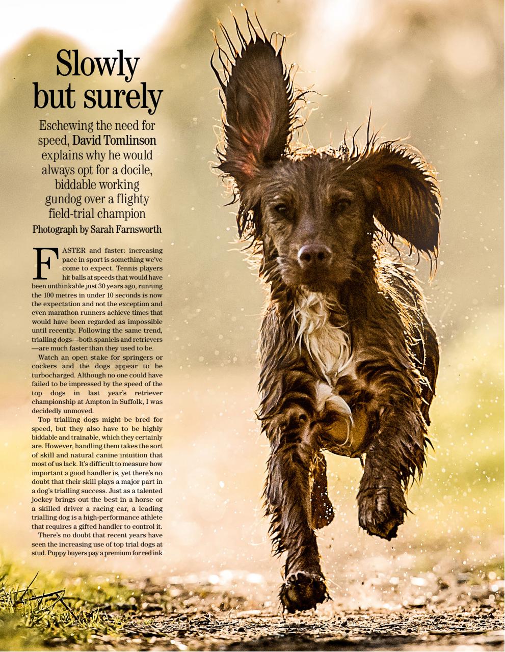Country Life Bookazine Preview Pages