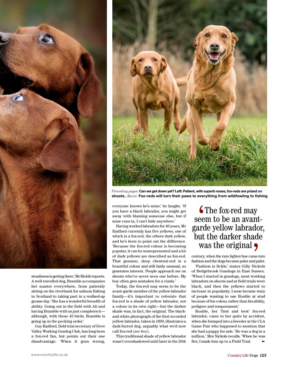 Country Life Bookazine Preview Pages