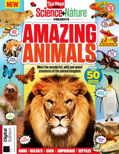 The Week Junior Bookazine issue 