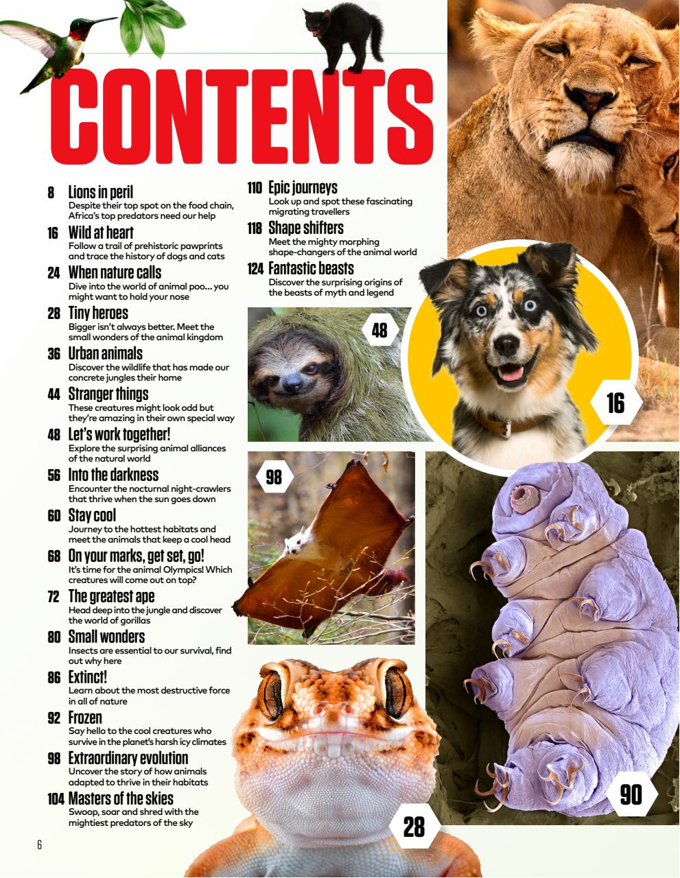 The Week Junior Bookazine Preview Pages