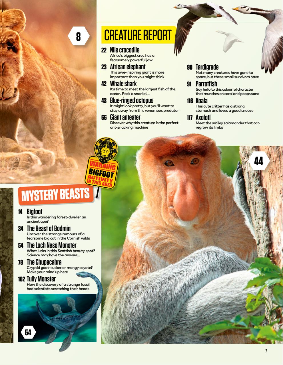 The Week Junior Bookazine Preview Pages