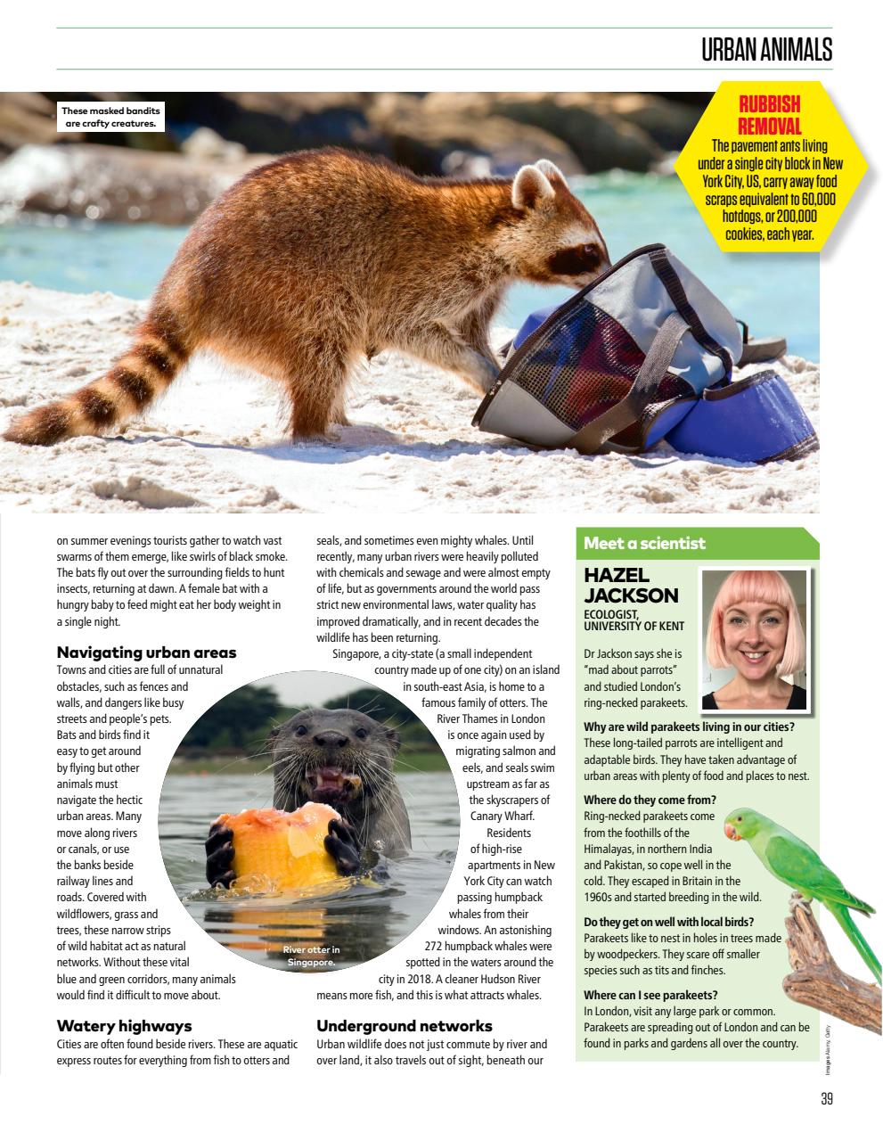 The Week Junior Bookazine Preview Pages