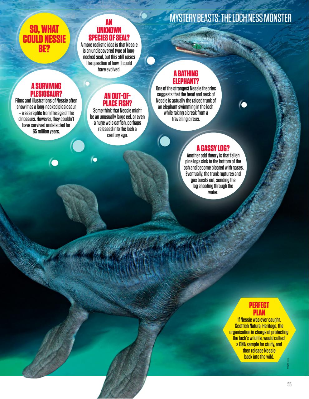 The Week Junior Bookazine Preview Pages