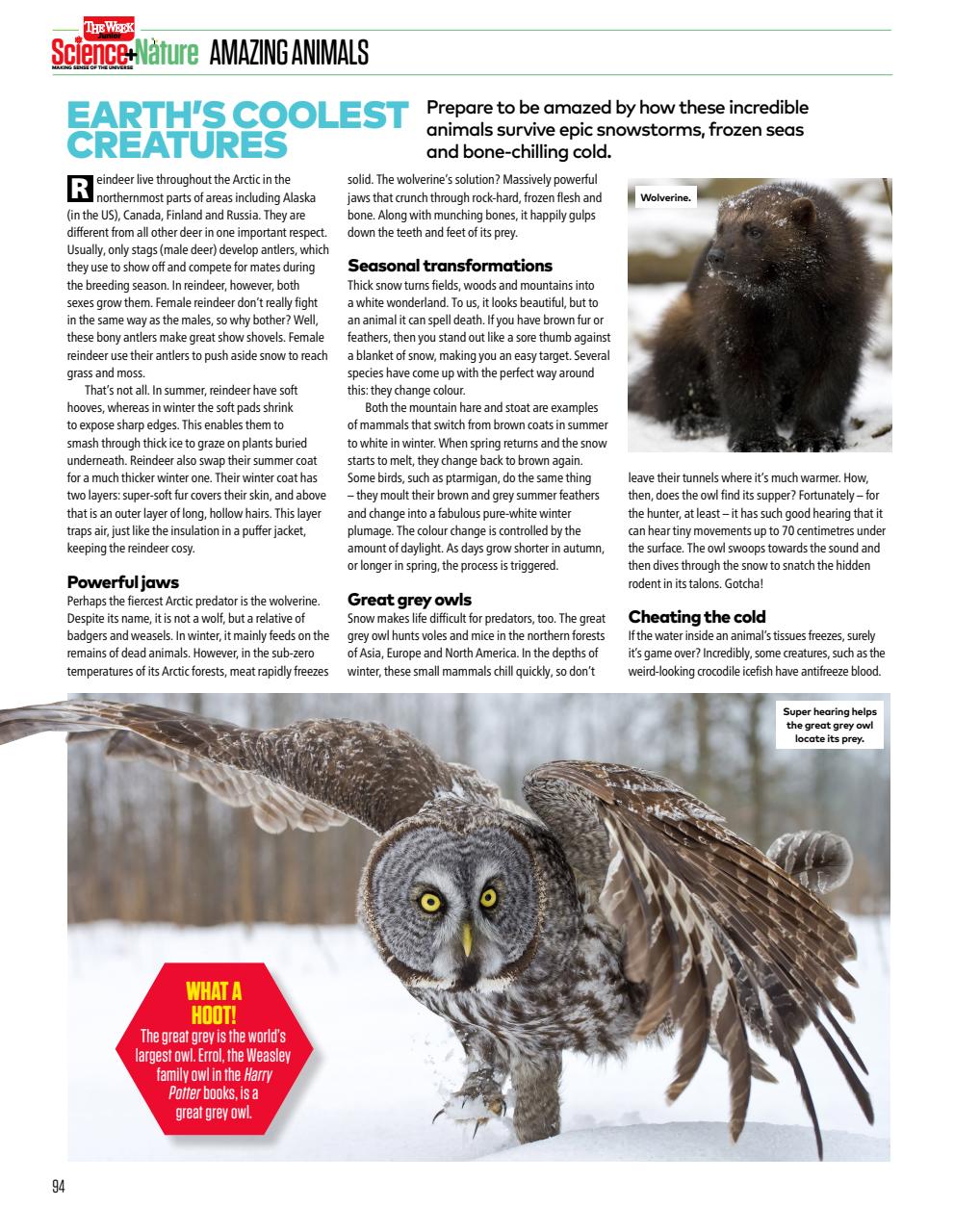 The Week Junior Bookazine Preview Pages