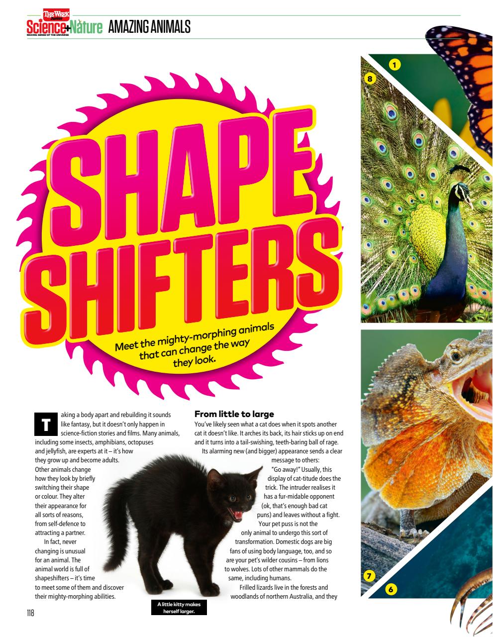 The Week Junior Bookazine Preview Pages