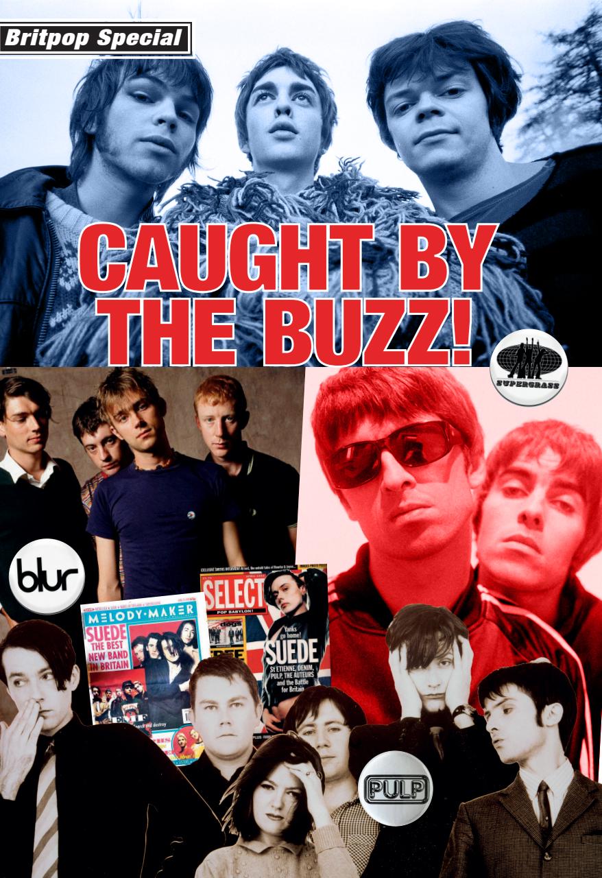 Record Collector Preview Pages