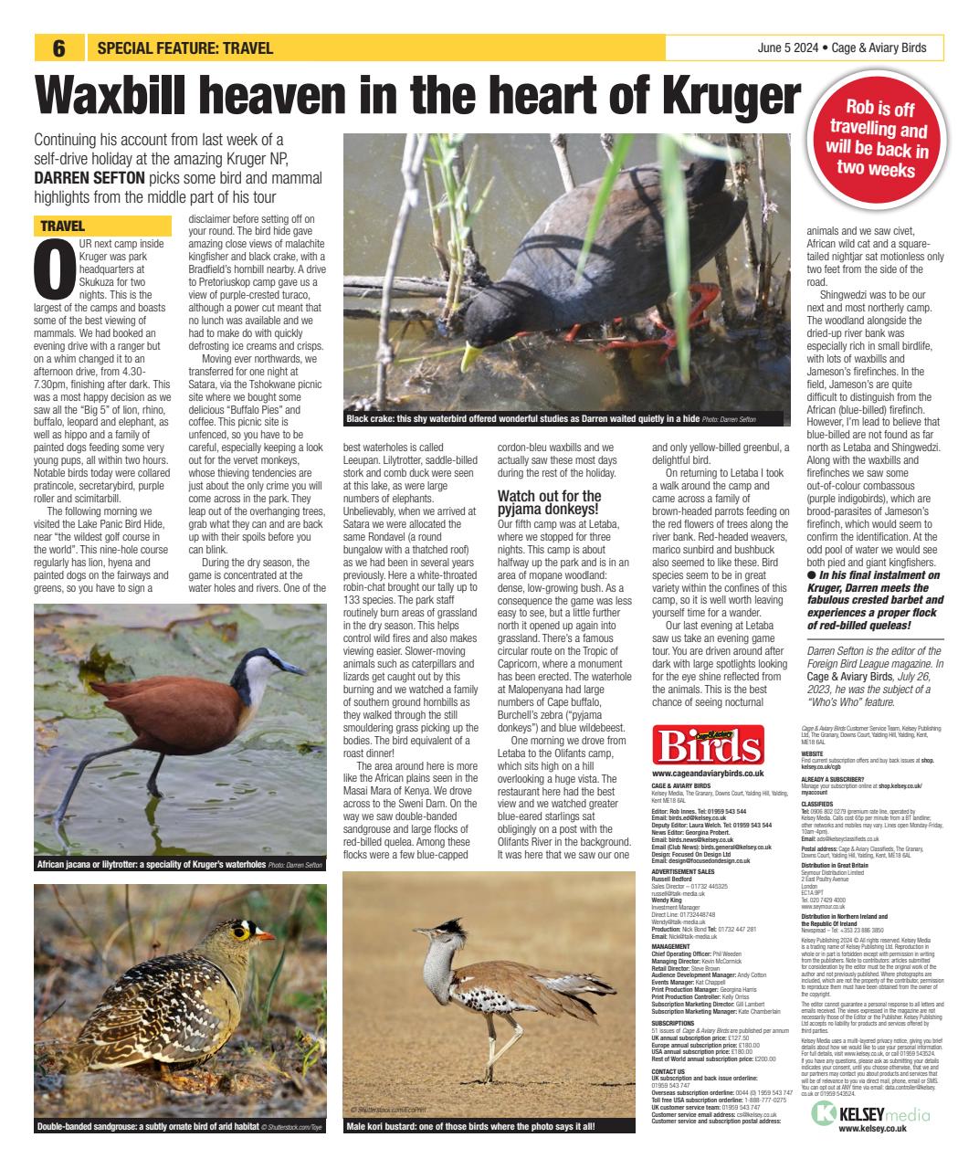 Cage & Aviary Birds Preview Pages