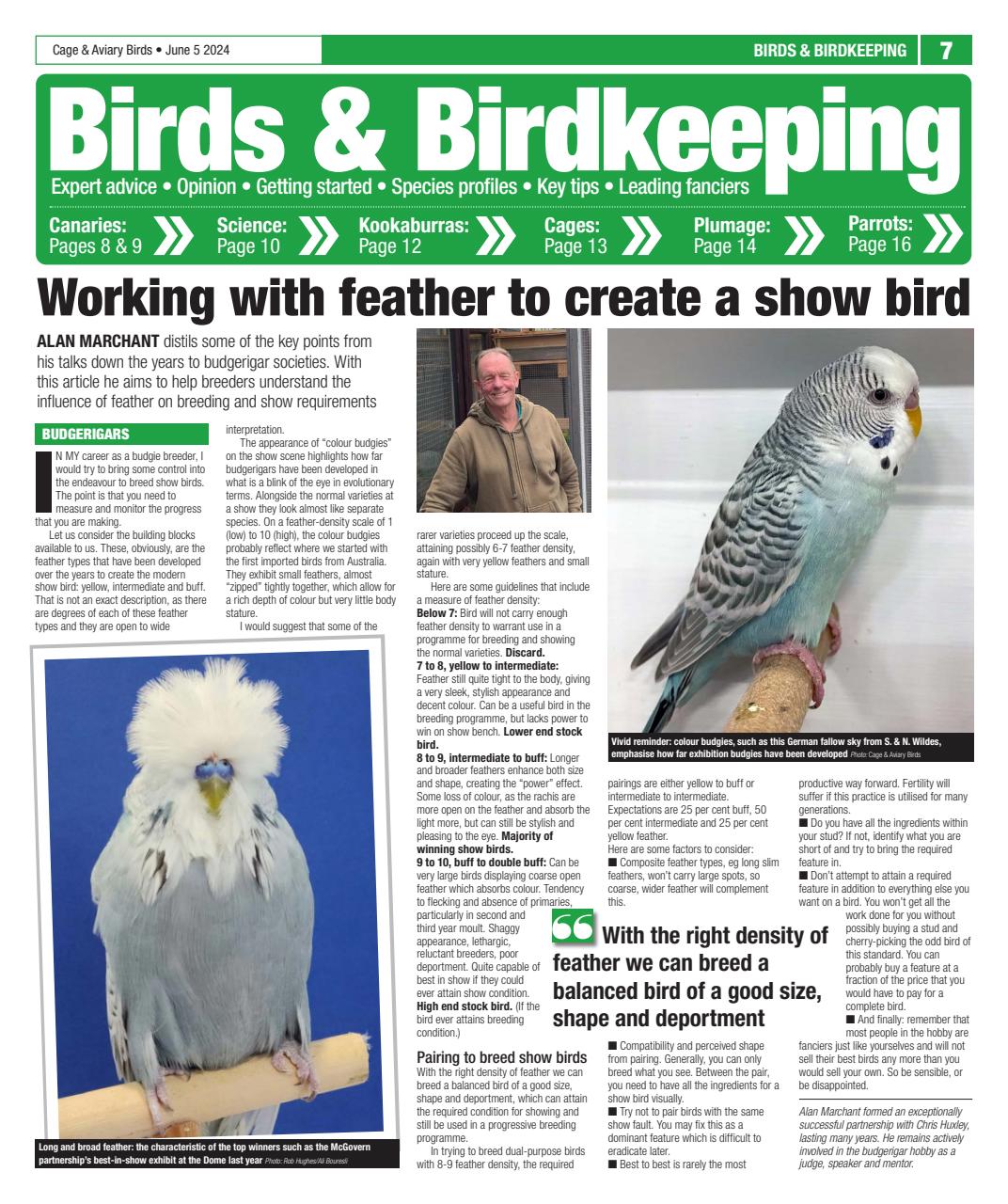 Cage & Aviary Birds Preview Pages